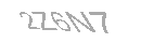 Güvenlik Kodu