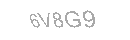 Güvenlik Kodu