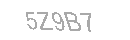 Güvenlik Kodu