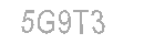 Güvenlik Kodu