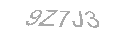Güvenlik Kodu