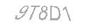 Güvenlik Kodu