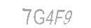 Güvenlik Kodu