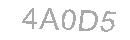 Güvenlik Kodu